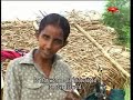 Appe Kattiya - NWZ 286