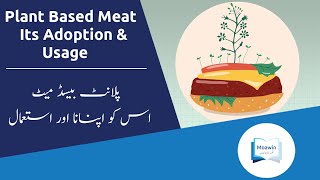 Plant Based Meat It's Adoption & Usage | Moawin.pk