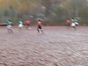 SC PERSIA HAMBURG - VSG STAPELFELD 0:4 (11.09.08) SC PERSIA HAMBURG - VSG STAPELFELD 0:4 (11.09.08)