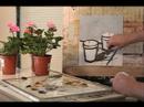 oil painting 104