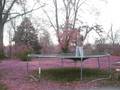 videos de Pro Trampoline