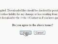 The Little Book of C: Integrating Insight Debugger