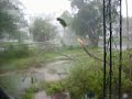 Hurricane Dolly at Category 2 in Harlingen Tx Hurricane Dolly at Category 2 in Harlingen Tx
