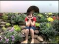 trong tim co mua mua dong trong tim - YouTube