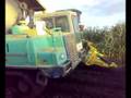 DUMPER ACTION DUMPERE MASKINER