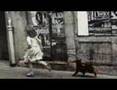 LuMiaSabOr-El Tango Dell'umbria