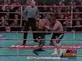 Mike Tyson vs Francois Botha - Final Punch