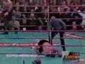 Mike Tyson vs Francois Botha - Final Punch