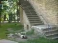 Parkour Fails