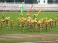 DOLE-RO3 Mardi Gras Champion (Sinukwan festival)