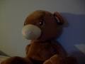 attack of the bear