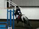 Snoopy British Novice Qualifier