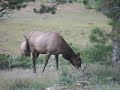 Explore Rocky Mountain National Park