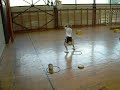 PRIPREME ZA UPIS NA FAKULTET SPORTA I FIZICKOG VASPITANJA 1 PRIPREME ZA UPIS NA FAKULTET SPORTA I FIZICKOG VASPITANJA 1