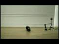 Honda tv ad cog