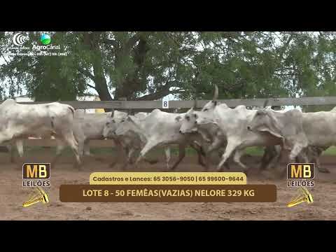 528� LEIL�O VIRTUAL MB LEIL�ES