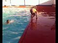 MOV0009A.avi MOV0009A.avi