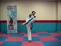 Roundhouse Side Kick