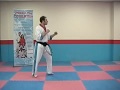 Martial Arts Training Tips : Learn Effective Kicking Skills : Roundhouse Side Kick