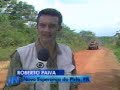 Madeireiras destruindo Arvores no Para Madeireiras destruindo Arvores no Para