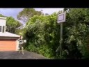 Awesome Dunking!!!