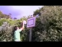 Awesome Dunking!!!