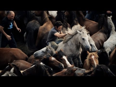 caballos salvajes - Documental sobre la Rapa das Bestas de Sabucedo, Galicia With English subtitles: http://youtu.be/gVsDMXl_zWk.