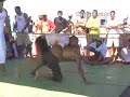 LEONARDO PÊTA VS MAGÃO: FIGHTSURF LEONARDO PÊTA VS MAGÃO: FIGHTSURF