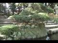 movfilms - 寒川神社 薪能 - http://www.movfilms.com