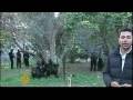 Palestinian fighters ready as ceasefire ends - 19 Dec 08