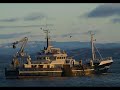DUBLINERS BONNY SHOLES OF HERRING