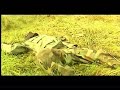 Wolfpack, airsoft team (http://wolf.pack.free.fr/)