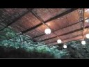 8月2日、京都洛北・貴船に足を運び、セカンドライフ「熊本ジャパン」のオフ会を開催した。参加者は、栃木、静岡、大阪、神戸、熊本から集まり、猛暑の時期に貴船の涼しい川床で美味しい料理に舌鼓。