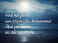 O Amor O Amor