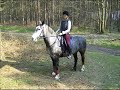 Forest Ride