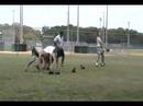 USF Kettlebell Work