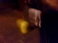 videos de Mr. Muscolo (idrauilico gel)