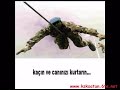 yavru kartal kerem (burası beşiktaş alayına gider)