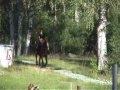 Palle och Embla på Johannesberg