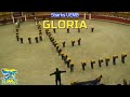 videos de Shark's UEMB: Gloria