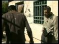 ضرب يهود