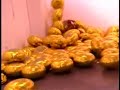 dog popping balloons at jonathan levine gallery