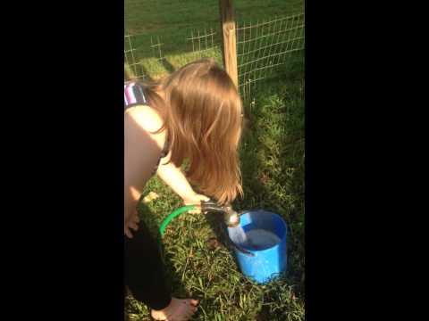 video-linktoworks-Applying gypsum in the garden