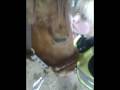 videos de Ballerina 196
