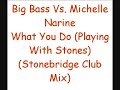 Big Bass Vs. Michelle Narine - What You Do Big Bass Vs. Michelle Narine - What You Do
