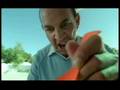 videos de Werbung - Volkswagen - BlueMotion - Fütterung (2008)