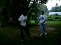 videos de Checkerboard IV