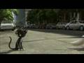 Bolt...Trailer