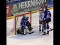 Eisb�ren in Berlin - Kraig Nienhuis (tribute to EHC)