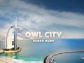 Fireflies by Owl City Lyrics in description